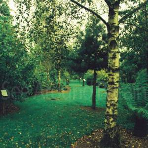 Taken before 2009