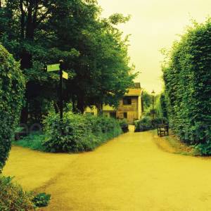 Taken before 2009