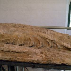 “taken before 2009”