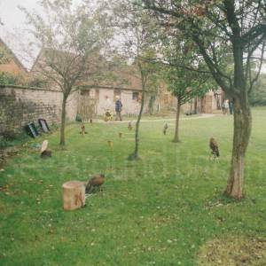 “taken before 2009”