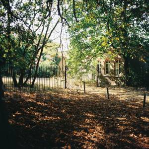 “taken before 2009”