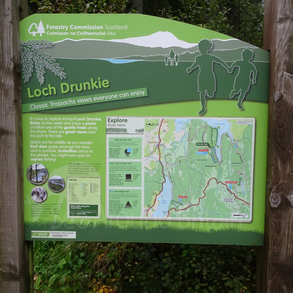 Queen Elizabeth Forest Park The Trossachs See Around Britain