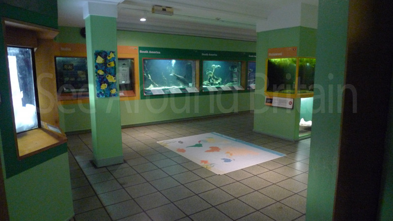 Pictures Of Bolton Museum Aquarium And Archive Bolton Greater 