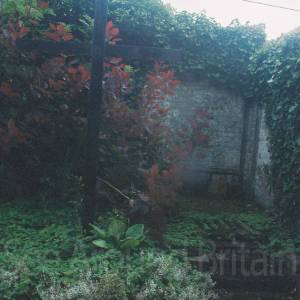 “taken before 2009”