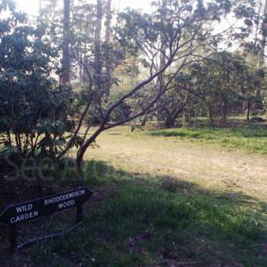 Taken before 2009