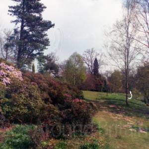 Taken before 2009