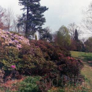 Taken before 2009