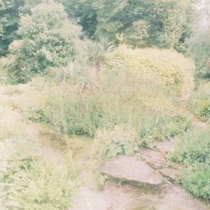 Taken before 2009