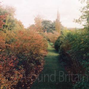 “Taken before 2009”