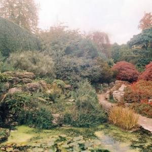 “Taken before 2009”