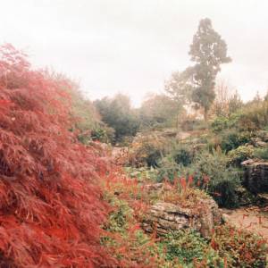 “Taken before 2009”