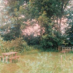 “taken before 2009”