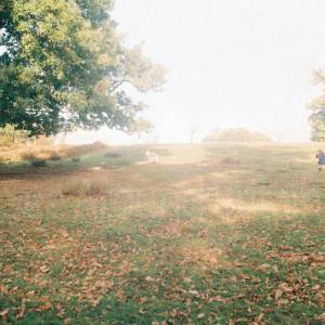 “Taken before 2009”