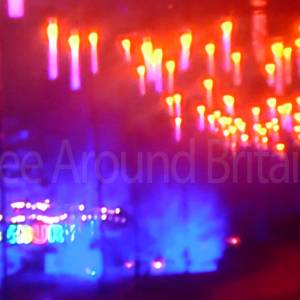 A view from above in the dark of an illuminated trail through a forest.