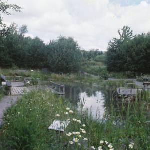 Photograph taken before 2009