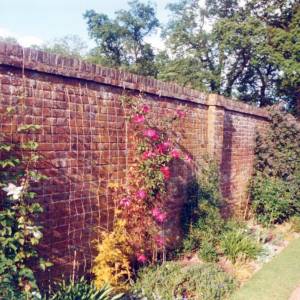 “taken before 2009”