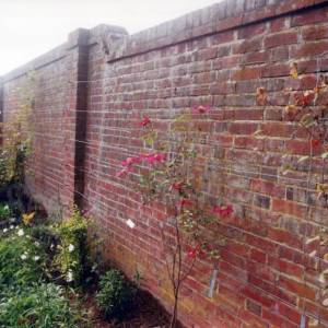 “taken before 2009”