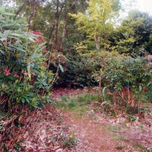 “taken before 2009”