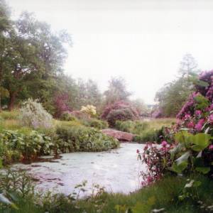 “taken before 2009”