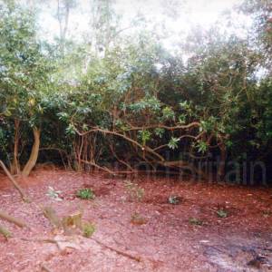 “taken before 2009”