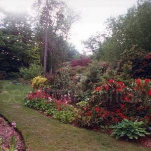 “taken before 2009”