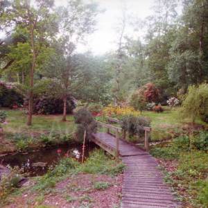 “taken before 2009”