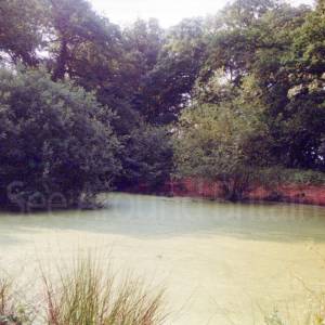 “taken before 2009”