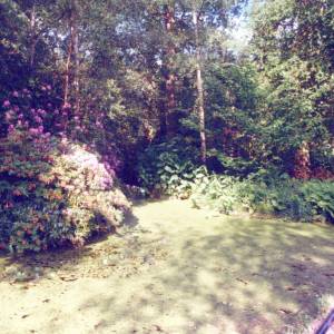 “taken before 2009”