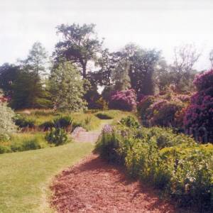 “taken before 2009”