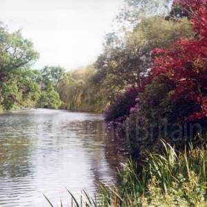 “taken before 2009”