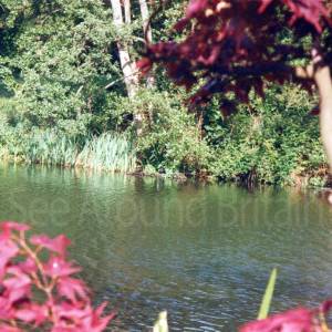 “taken before 2009”