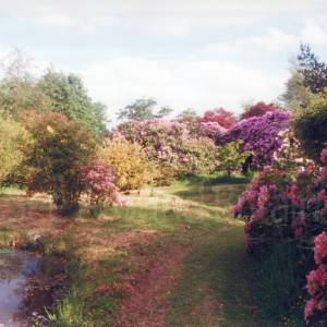 “taken before 2009”