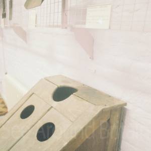 Photograph taken before 2009