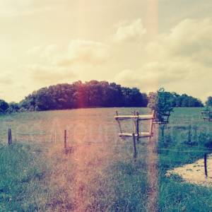 “taken before 2009”