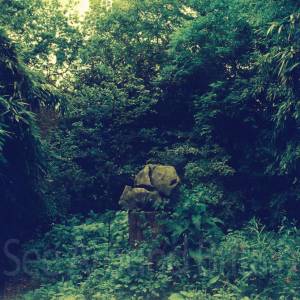 “taken before 2009”