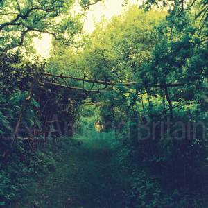 “taken before 2009”