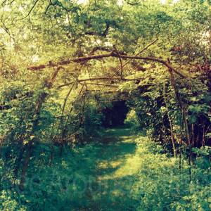 “taken before 2009”