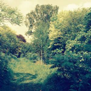 “taken before 2009”