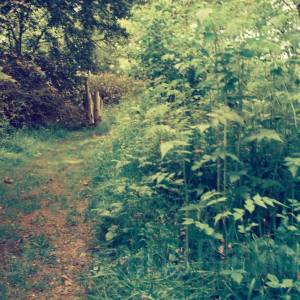 “taken before 2009”