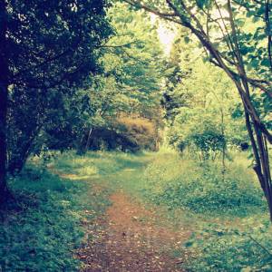 “taken before 2009”