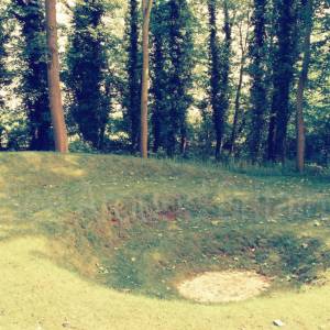 “taken before 2009”