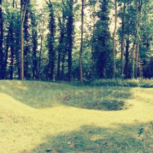 “taken before 2009”