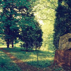 “taken before 2009”