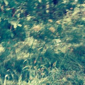 “taken before 2009”