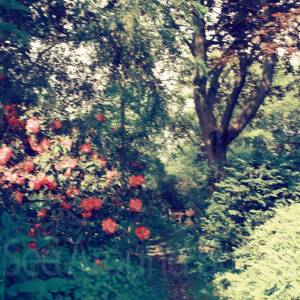 “taken before 2009”