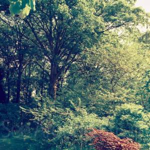 “taken before 2009”