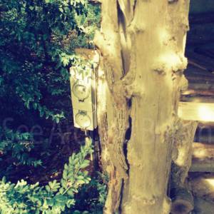 “taken before 2009”