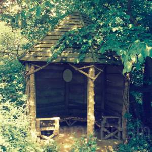 “taken before 2009”