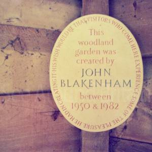 “taken before 2009”