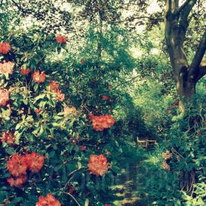 “taken before 2009”